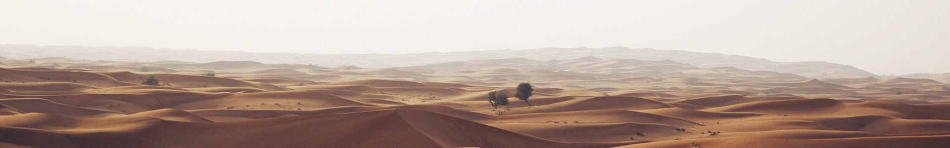 ӼƼ޹˾